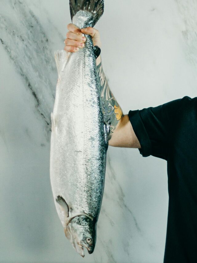 7 Largest Salmon Ever Caught in the US